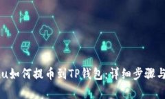 Kishu Inu如何提币到TP钱包：详细步骤与