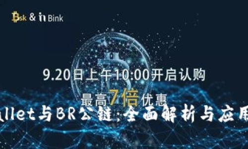 TPWallet与BR公链:全面解析与应用前景