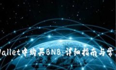 如何在TPWallet中购买BNB：详细指南与常