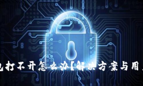 TP钱包打不开怎么办?解决方案与用户指南