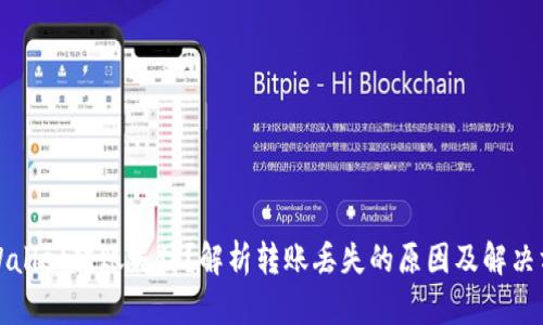 TPWallet转账失踪?解析转账丢失的原因及解决方案