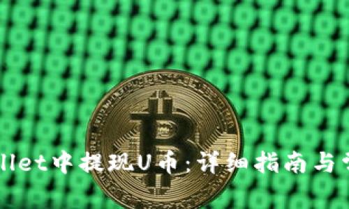 如何在TPWallet中提现U币:详细指南与常见问题解答