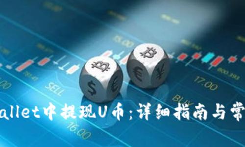 如何在TPWallet中提现U币:详细指南与常见问题解答