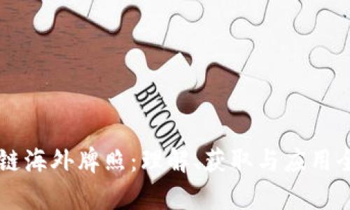 区块链海外牌照:理解、获取与应用全解析