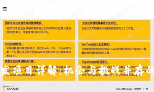 区块链海外开发项目详解:机会与挑战并存的数字经济领域