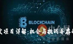 区块链海外开发项目详解：机会与挑战