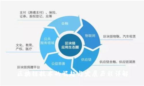 区块链技术的崛起与发展历程详解