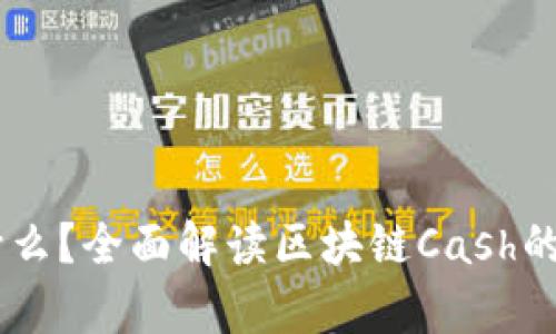 区块链Cash是什么?全面解读区块链Cash的功能与发展前景