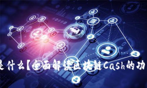 区块链Cash是什么?全面解读区块链Cash的功能与发展前景