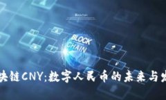 区块链CNY：数字人民币的未来与发展