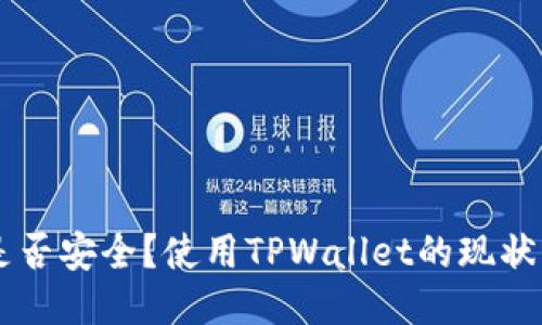 TPWallet是否安全?使用TPWallet的现状与用户指南