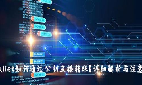 TPWallet如何通过公钥直接转账?详细解析与注意事项