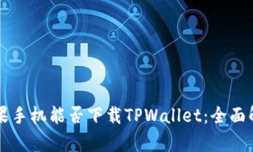 苹果手机能否下载TPWallet:全面解析