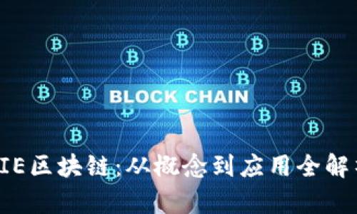 SIE区块链:从概念到应用全解析
