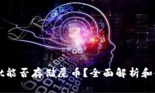 tpWallet能否存储屎币?全面解析和使用指南