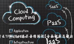 为什么TPWallet进不去特别慢？全面解析