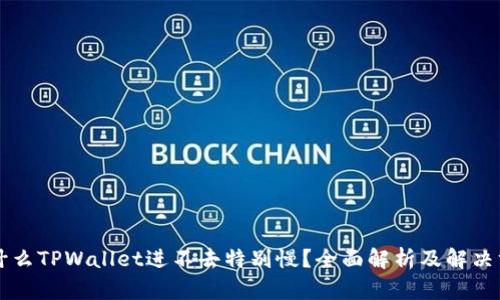 为什么TPWallet进不去特别慢?全面解析及解决方案