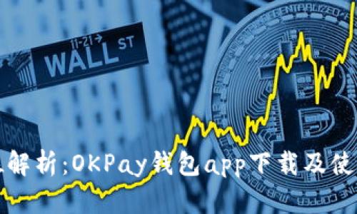 全方位解析:OKPay钱包app下载及使用指南