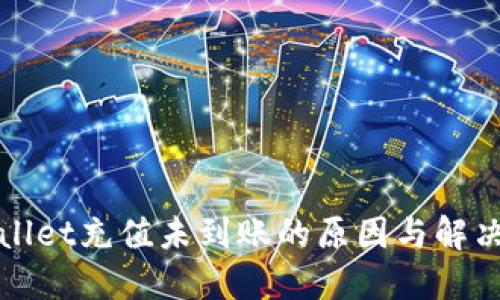 TPWallet充值未到账的原因与解决方案