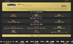 TPWallet充值未到账的原因与解决方案