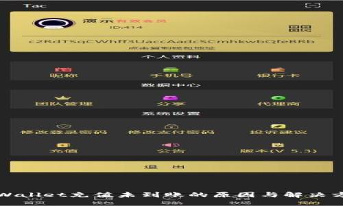 TPWallet充值未到账的原因与解决方案