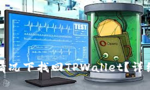 如何在没有助记词的情况下找回TPWallet?详细指南与常见问题解答