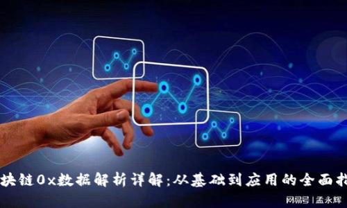 区块链0x数据解析详解:从基础到应用的全面指南