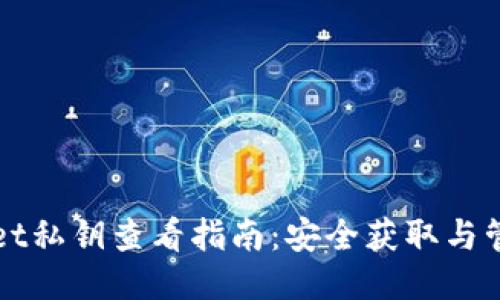 TPWallet私钥查看指南:安全获取与管理技巧
