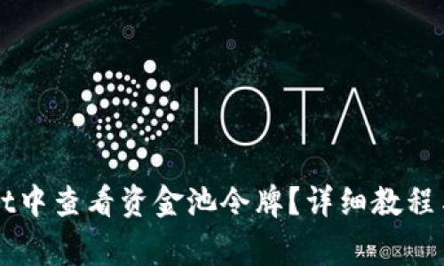 如何在TPWallet中查看资金池令牌?详细教程与常见问题解答