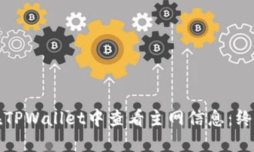 如何在TPWallet中查看主网信息:终极指南