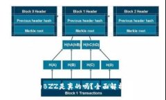 TPWallet的BZZ是真的吗？全面解析与用户