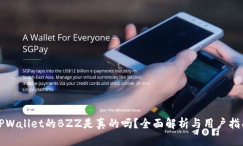 TPWallet的BZZ是真的吗?全面解析与用户指南
