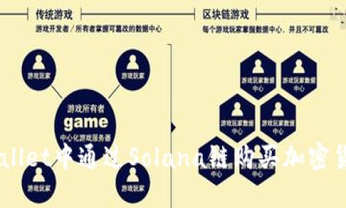 如何在TP Wallet中通过Solana链购买加密货币:完整指南