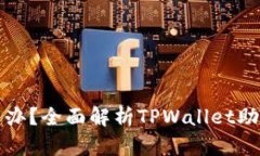 助记词忘了怎么办？全面解析TPWallet助