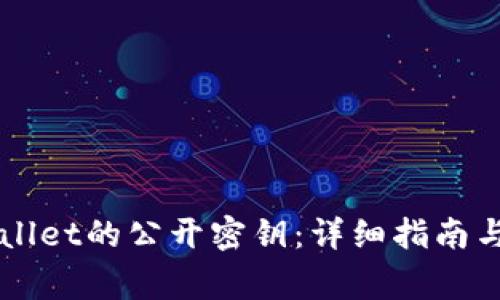 如何查看TPWallet的公开密钥:详细指南与常见问题解析