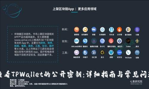如何查看TPWallet的公开密钥:详细指南与常见问题解析