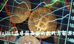 TPWallet在中国面临的挑战与解决方案