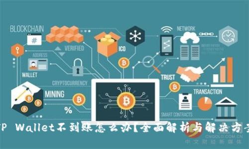 TP Wallet不到账怎么办?全面解析与解决方案