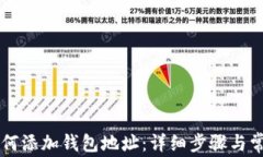 TPWallet如何添加钱包地址：详细步骤与