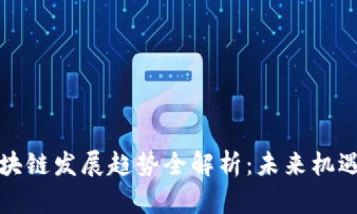 海南区块链发展趋势全解析:未来机遇与挑战