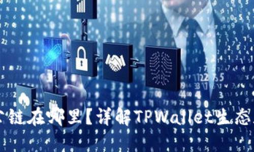 TPWallet公链在哪里?详解TPWallet生态和使用指南