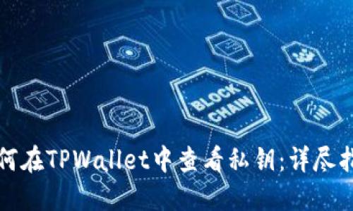 如何在TPWallet中查看私钥:详尽指南