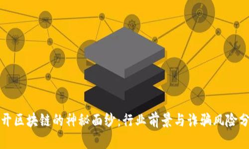 揭开区块链的神秘面纱:行业前景与诈骗风险分析