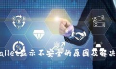 TPWallet显示不安全的原因及解决方案