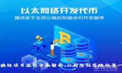 区块链项目流程全面解析：从构想到落