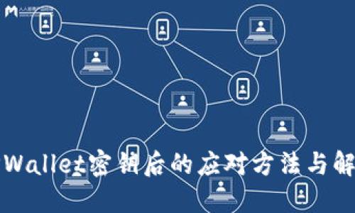 丢失TPWallet密钥后的应对方法与解决方案