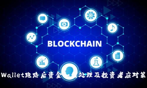 TPWallet跑路后资金如何处理及投资者应对策略
