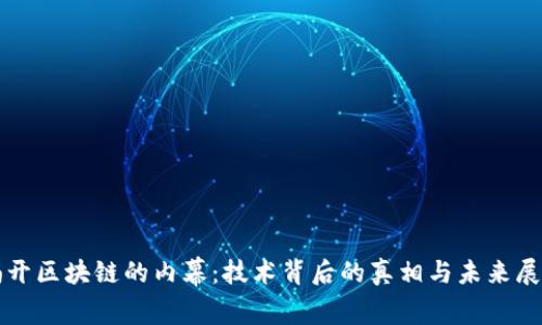 揭开区块链的内幕:技术背后的真相与未来展望