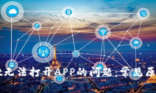 解决TPWallet无法打开APP的问题:常见原因与解决方案