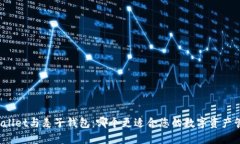 TPWallet与麦子钱包：哪个更适合您的数